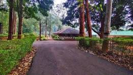 Belghar Forest Odisha