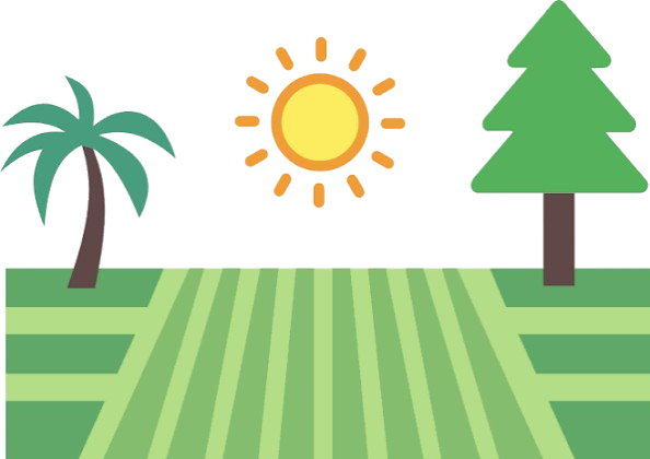 images removebg preview